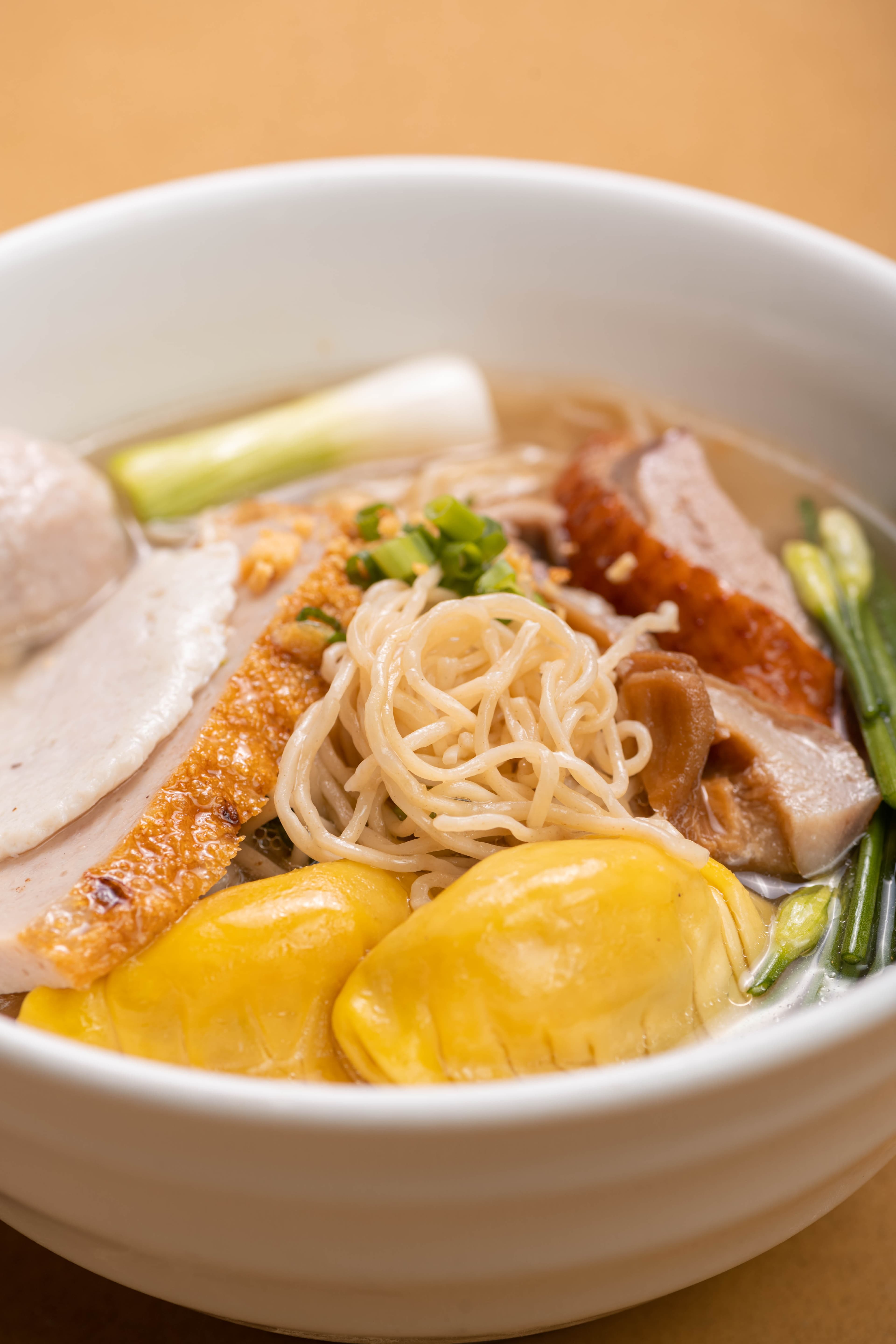 Special Wonton Noodle